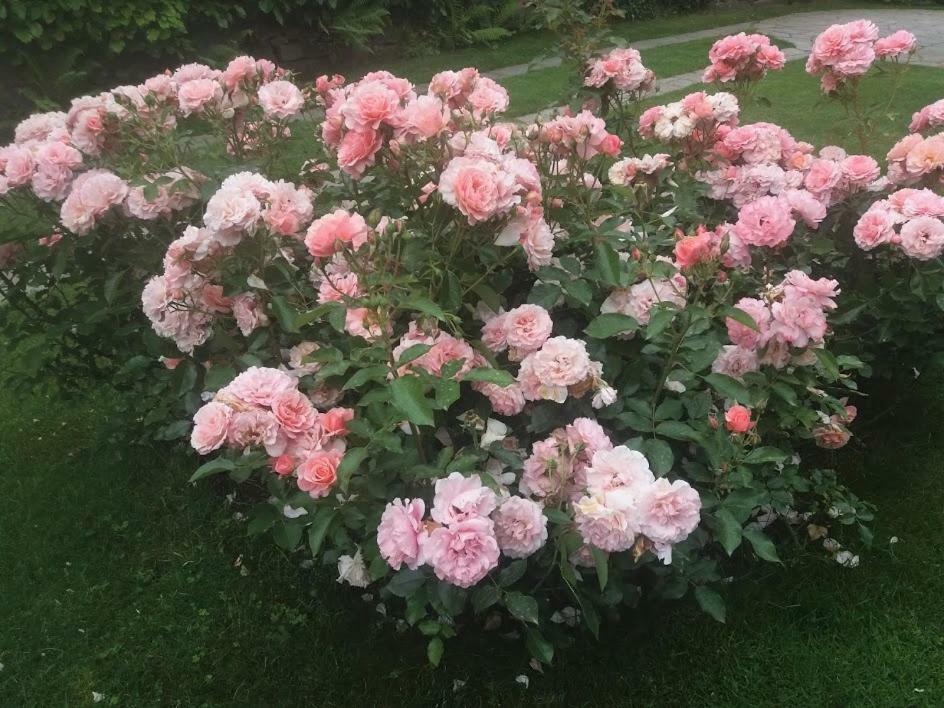 Casetta Delle Rose Biella Exterior photo